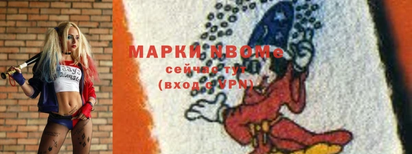 индика Армянск