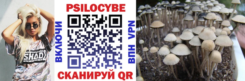 Галлюциногенные грибы MAGIC MUSHROOMS  Канаш 