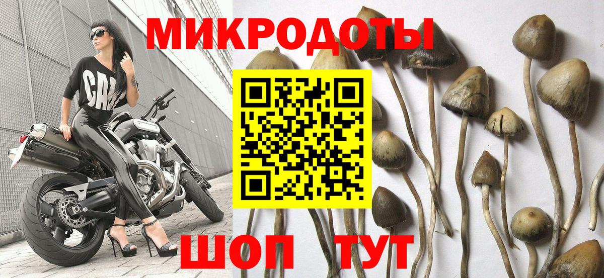 Канаш  Псилоцибиновые грибы прущие грибы  Галлюциногенные грибы Magic Shrooms  Вход с VPN 